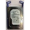 42C0463 - IBM 250GB 7200 RPM SATA 3.5" HDD