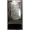1HT27Z-038 - Netapp 6TB 7200 RPM SAS 3.5" HDD for DS4246 24 bay enclosure, DS212C 12 bay enclosure and FAS2220, 2240, 2554, 2620, 2720A series.